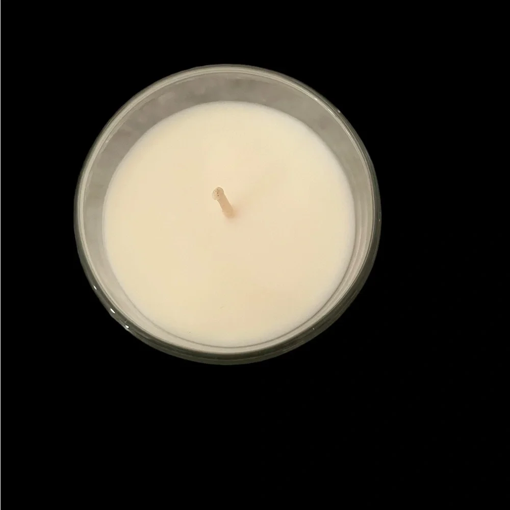 NIB Rhode + West Elm Thistle & Wildflower 4.9 oz Single Wick Scented Candle